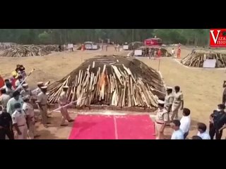 video в индии полицейские накрыли крупную партию марихуаны а именно 200 тонн было принято решение показательно сжечь sex