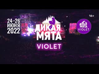 video фестиваль дикая мята violet 24 26 июня тульская обл sex