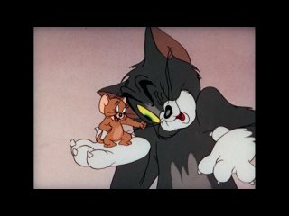 video том и джерри золотая коллекция том первый 1940 1948 sex