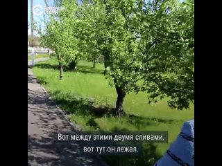 video ну он же не сам туда поехал его отправили я живу в россии я стою на стороне россии я не знаю кто на кого напал sex