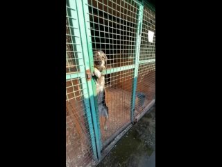 video пушистый ребетёнок уже все розовые пяточки стёр а мамы все нет и нет джейна само очарование ей так хочется быть sex