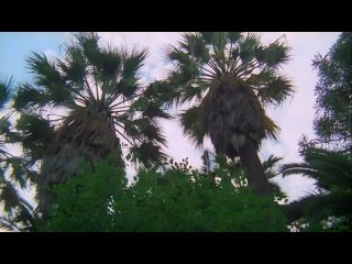 video куклы за колючей проволокой 1976 ужасы триллер драма криминал эротика хесус франко 1080p sex