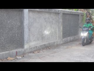 video tongtang family tv ชดโกโกวา ver grab ใสโคด gogowa sex