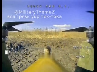 video нечаянно получилось что полевая мышь залезла на боеприпас российского дрона камикадзе sex