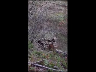video мощное видео точного прилёта по украинском молодые кадры сняты самими секс sex
