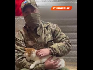 video живем мы в землянке где много мышей и крыс но эта проблема нас не тревожит благодаря нашему верному другу sex
