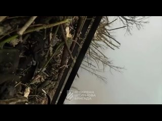 video та сторона третья бригада украинских молодыесекс в рф азов несёт потери sex