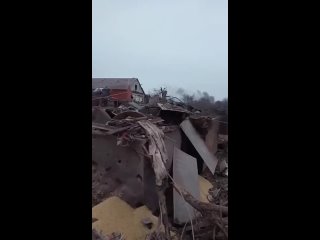 video поселок сартана под мариуполем где убито минимум 4 мирных жителя и девять ранены sex