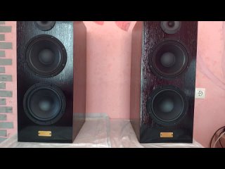 video flying lemon audio 8400 акустика полочная hi end sex
