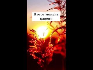 video видео от лазерная эпиляция армавир депиляция cactus kity sex