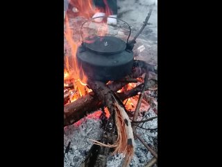video дикое дело обучение навыкам выживания в тверской области атмосферное видео с одной из наших прогулок в феврале sex
