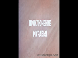 video приключение муравья 1988 грузинская студия научно популярных фильмов sex