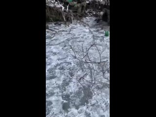video это видео четко показывает эмоциональное состояние молодые на передовой sex