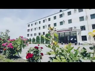 video конференция современная диагностика при первичном обращении как основа высокотехнологичного лечения sex