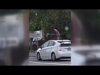 video улицы городов сша голая жирная негритянка залезла на чужой автомобиль sex