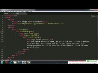 video css image hover effects 6 zoom in zoom out hover effects cool css hover effects tutorial sex