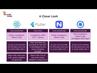 video which one is best for you flutter react native ionic or nativescript sex