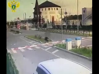 video московская прокуратура опубликовала последнее видео на котором замечена пропавшая фигуриста алина горбачева sex