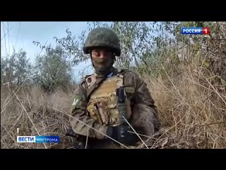 video украденного из херсона енота российские десантники забрали в окопы sex