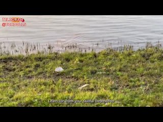video мачеха учит пасынка ловить рыбу и многое другое порно секс трахает русское sex