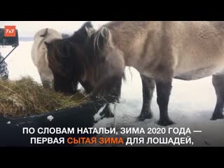 video как выживают люди и лошади на берегу белого моря sex
