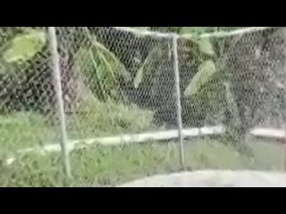 video насадил жопастую на хуй yinyleon фуллы россии порно хентай секс трахает русское инцест домашнее фуллементарно sex