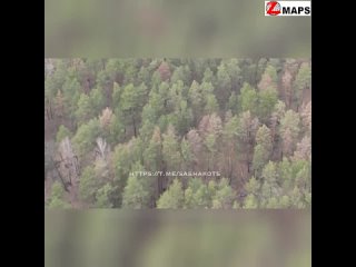 video правильное решение после артударов по опорнику противника сидящие там всушники спешно покидают поз sex