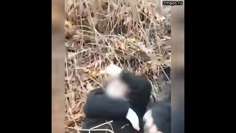 video на курщине молодые недоблогер избивает сверстников ради лайков кадры истязаний он публикует в се sex