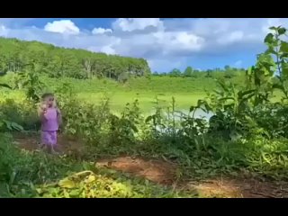 video эта обезьянка умеет помогать sex