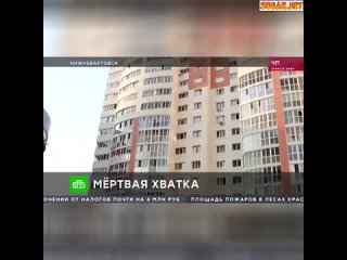 video разорвавший лицо школьнице в лифте бультерьер давно терроризировал жильцов многоэтажки sex
