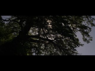video дистанция спасения distancia de rescate fever dream 2021 web dl 1080p sex