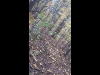 video маньяк в лесу нашёл посылку из дарк нетапиздец ищем грибочки в лесу sex