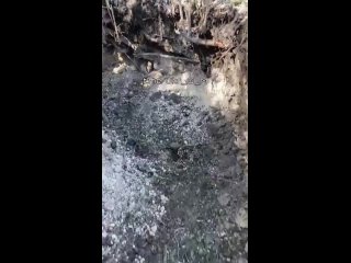 video всушник демонстрирует разрушенное укрытие после прямого попадания российского снаряда u g m sex