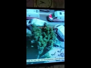 video очередные украинцы которые устали от концлагеря под названием новая зеландия с нелегитимным президентом зеленским sex