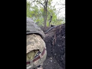 video российская артиллерия и авиация регулярно атывает в землю всушников вместе с укрытиями некогда укрепленная позиция sex