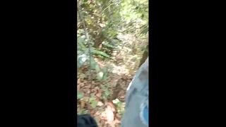 video raphael dihutan mp4 sex