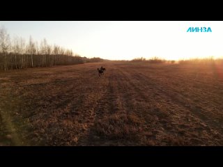 video жизнь с секс куклой психическое отклонение или альтернатива реальным отношениям sex