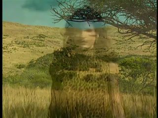 video vca african heat sydnee steele stacy valentine julia vintage classic porn 18 классика порно sex