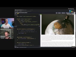 video scroll linked animations only using css featuring adam argyle sex