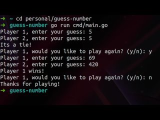 video github copilot makes a cli game in golang from scratch sex
