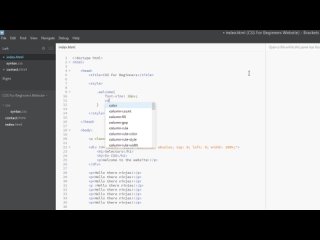 video css tutorial for beginners 05 inline embedded styles sex