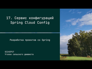 video ass sc24ep17 сервис конфигураций spring cloud config разработка проектов со spring sex