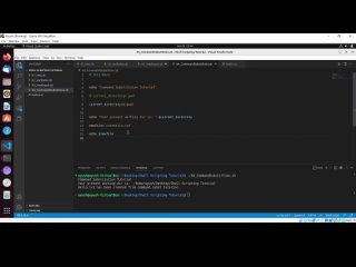 video shell scripting command substitution sex