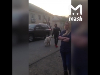 video извинения перед полицейскими от племянника смотрящего sex