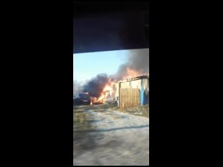 video в новосибирске поселок ленинский моральный урод поджог молодые видео от зоозащита helpninsk зоополиция sex