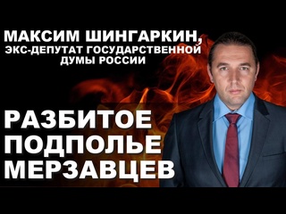 video разбитое подполье мерзавцев максим шингаркин экс депутат государственной думы sex