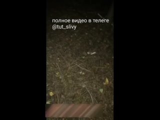 video либо я тебя убью нахй либо раздевайся в лесу заставил раздеться студентка школьница заставил сосать сосет минет sex