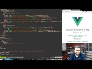 video getting started with vue js 2 0 in 2017 for beginners sex