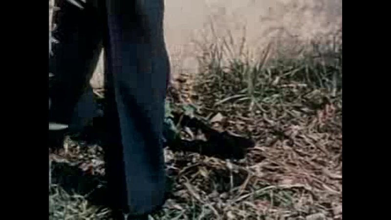 video размышления психиатра о мире извращенного секса 1973 18 sex