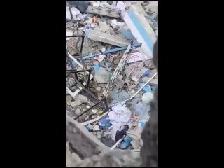 video israel comete una masacre contra palestinos en una escuela en el norte de la franja de gaza sex